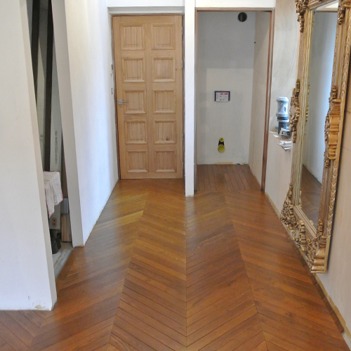 Parquet Chevron